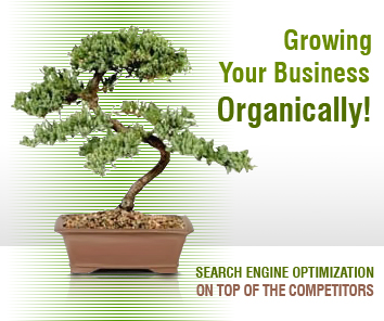 organic seo